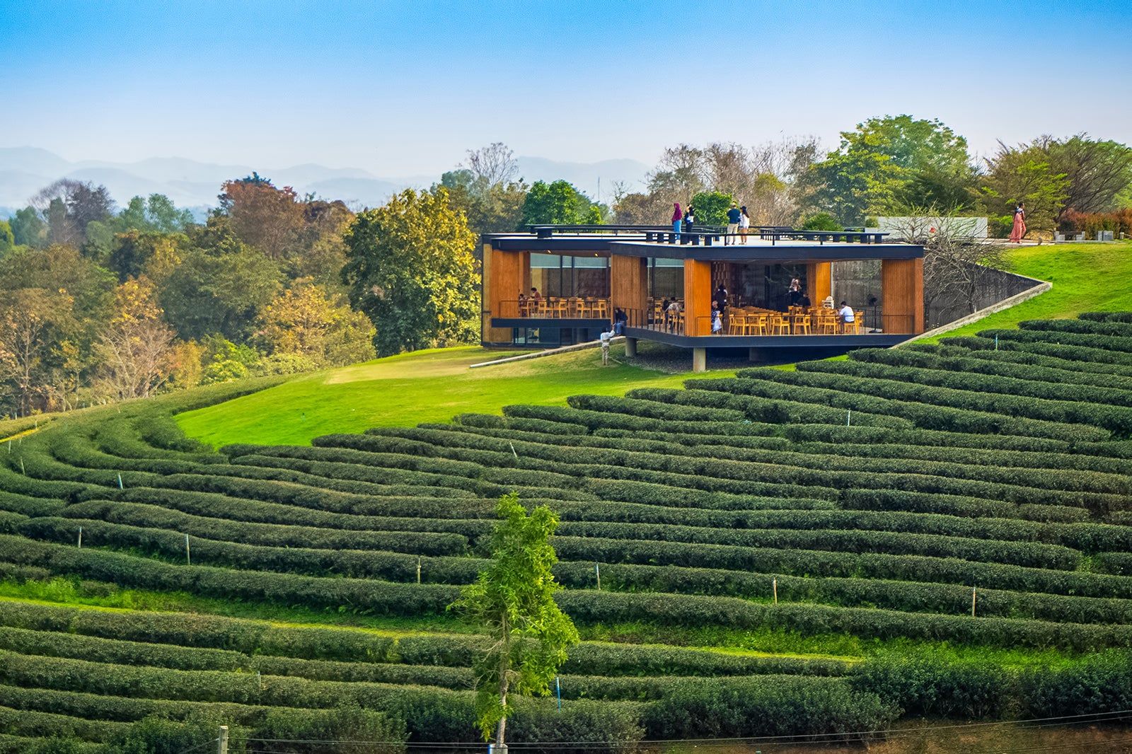 10 Great Restaurants in Chiang Rai 