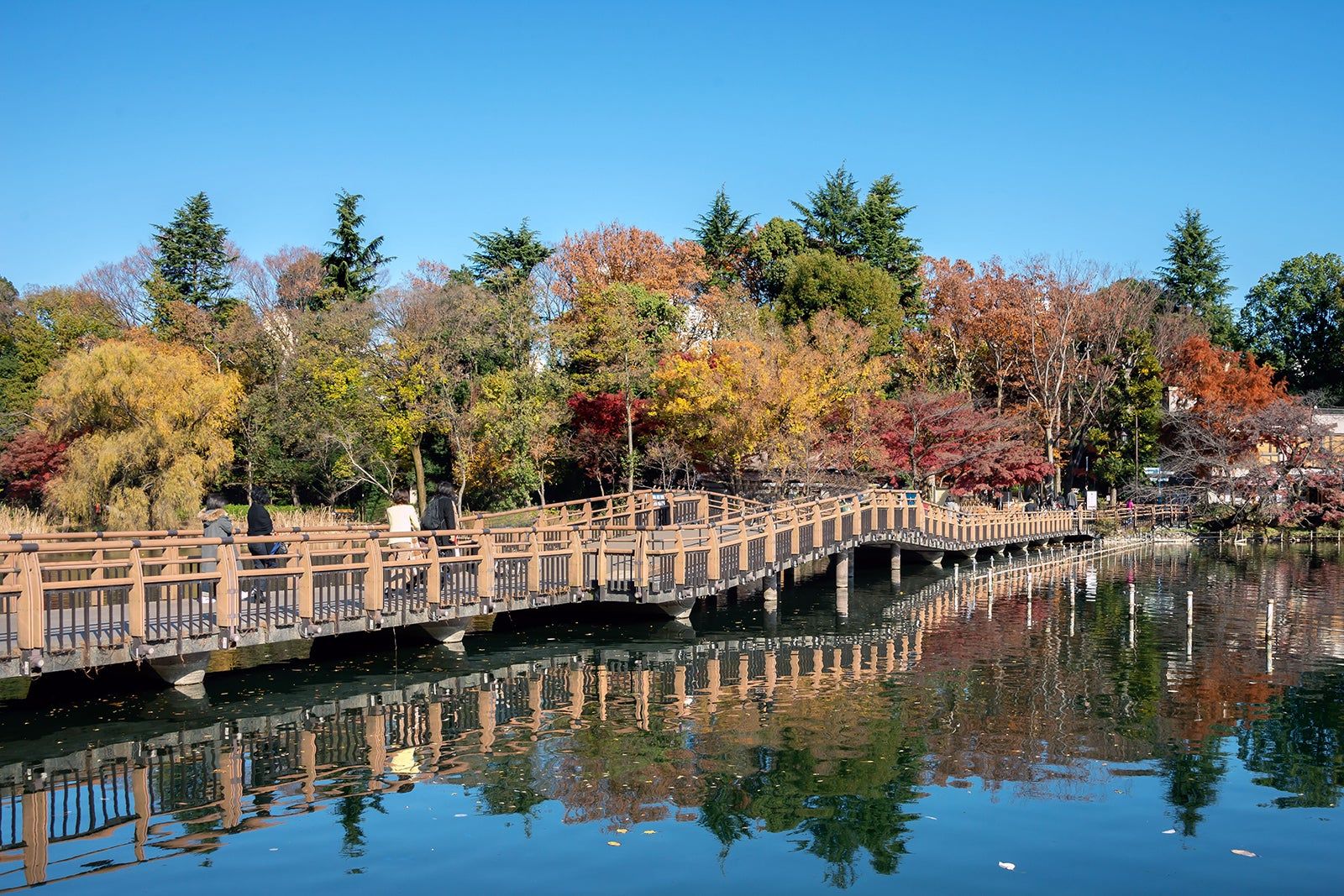 東京で人気の公園 トップ 