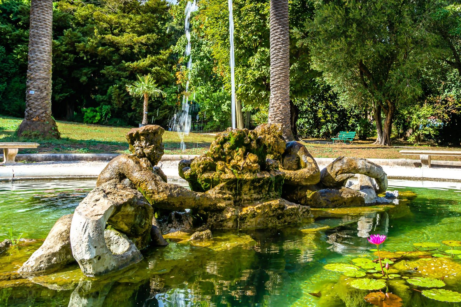 Botanical Gardens of Rome