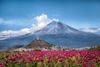 photo by <a href="https://pixabay.com/en/mexico-volcano-popocatepetl-puebla-3564808/" target="_blank" rel="noreferrer">maximaxi65</a> (<a href="https://creativecommons.org/share-your-work/public-domain/cc0/" target="_blank" rel="noreferrer">CC0</a>) modified