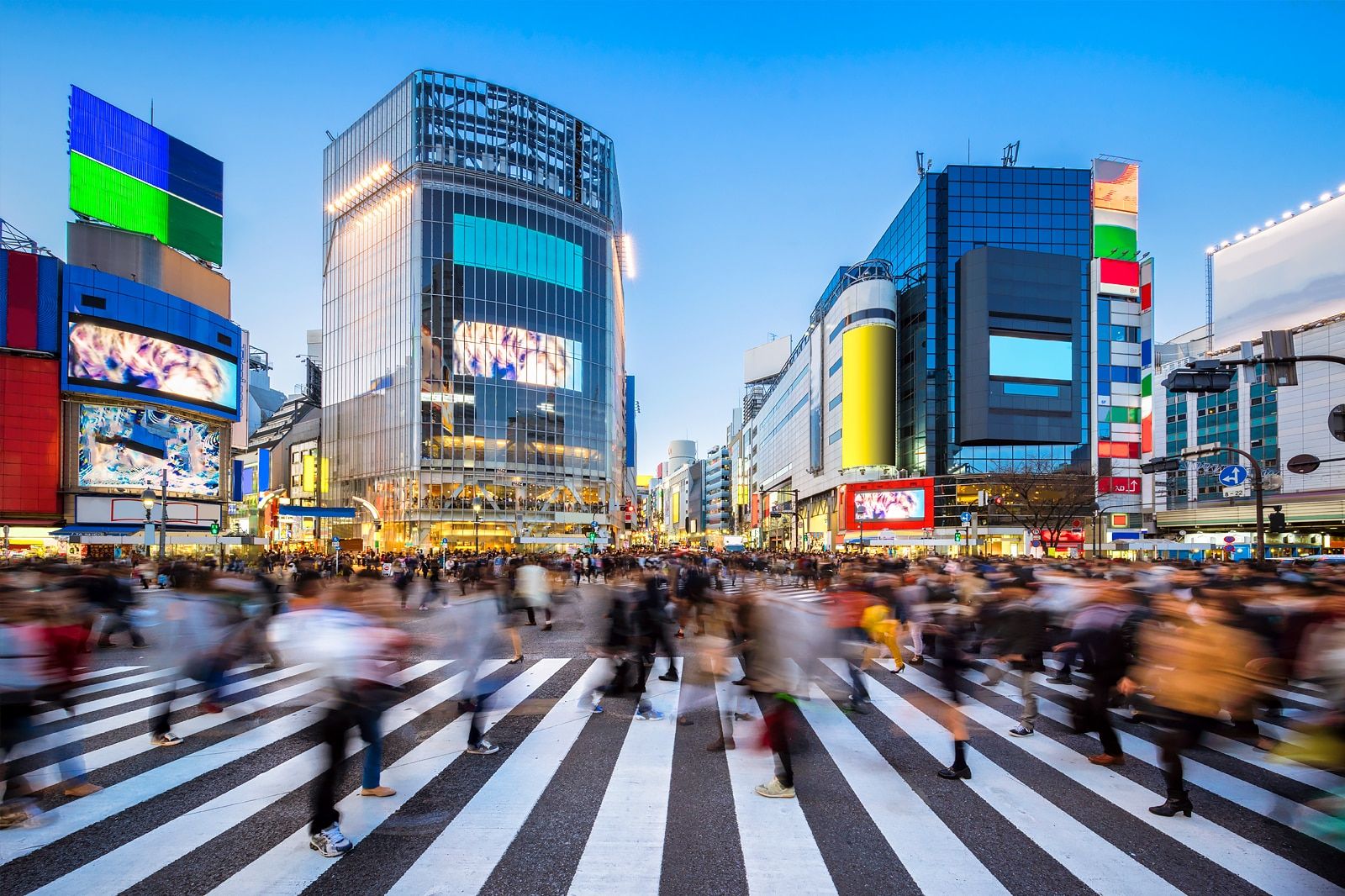 Best Shopping Experiences in Tokyo