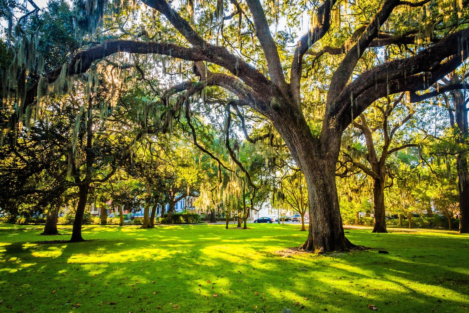 Best Parks & Squares in Savannah