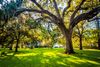 Best Parks & Squares in Savannah