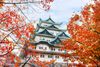 Nagoya Castle surrounded by fall foliage