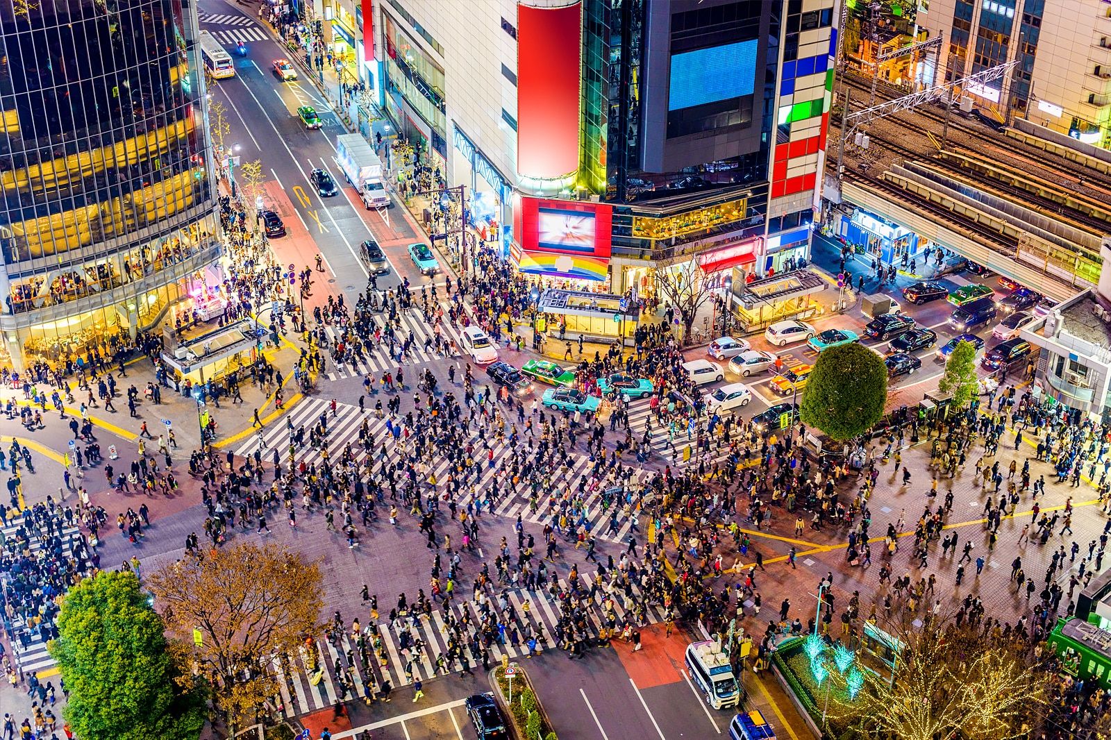 Best Nightlife Experiences in Tokyo