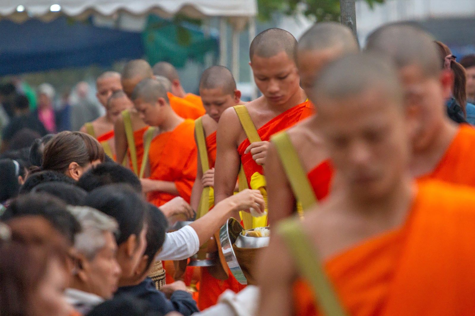 Alms Giving Ceremony in Luang Prabang