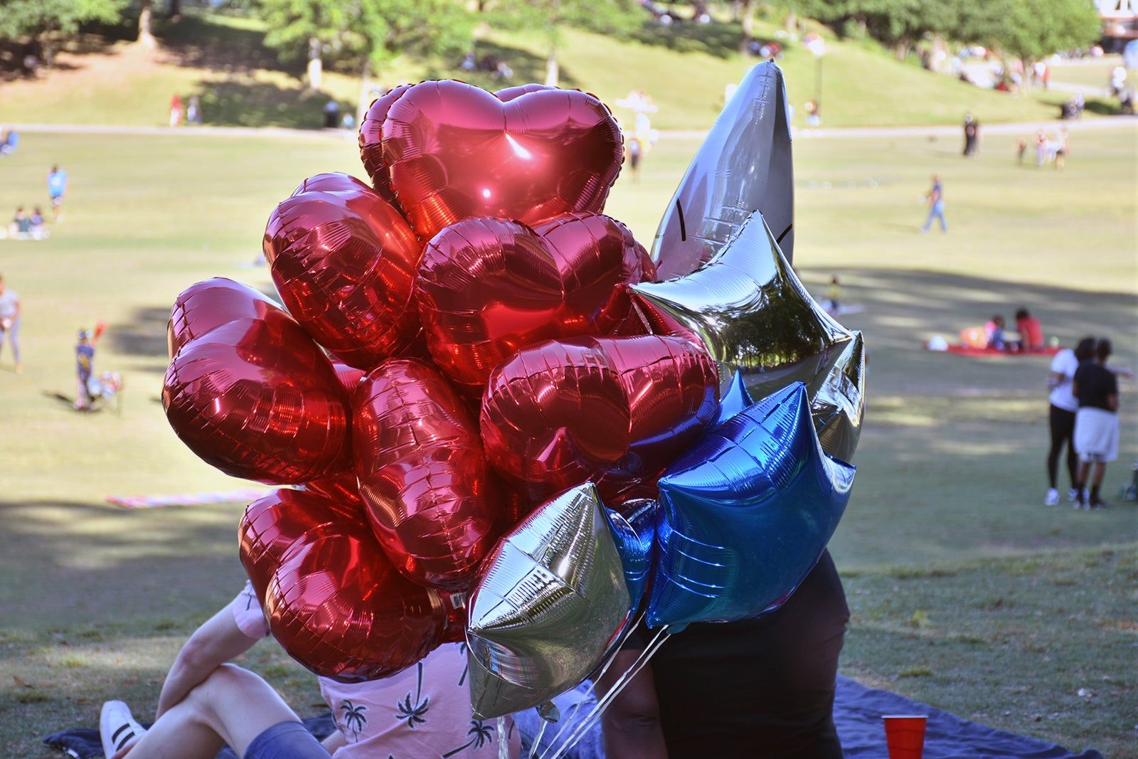 Atlanta Dogwood Festival 