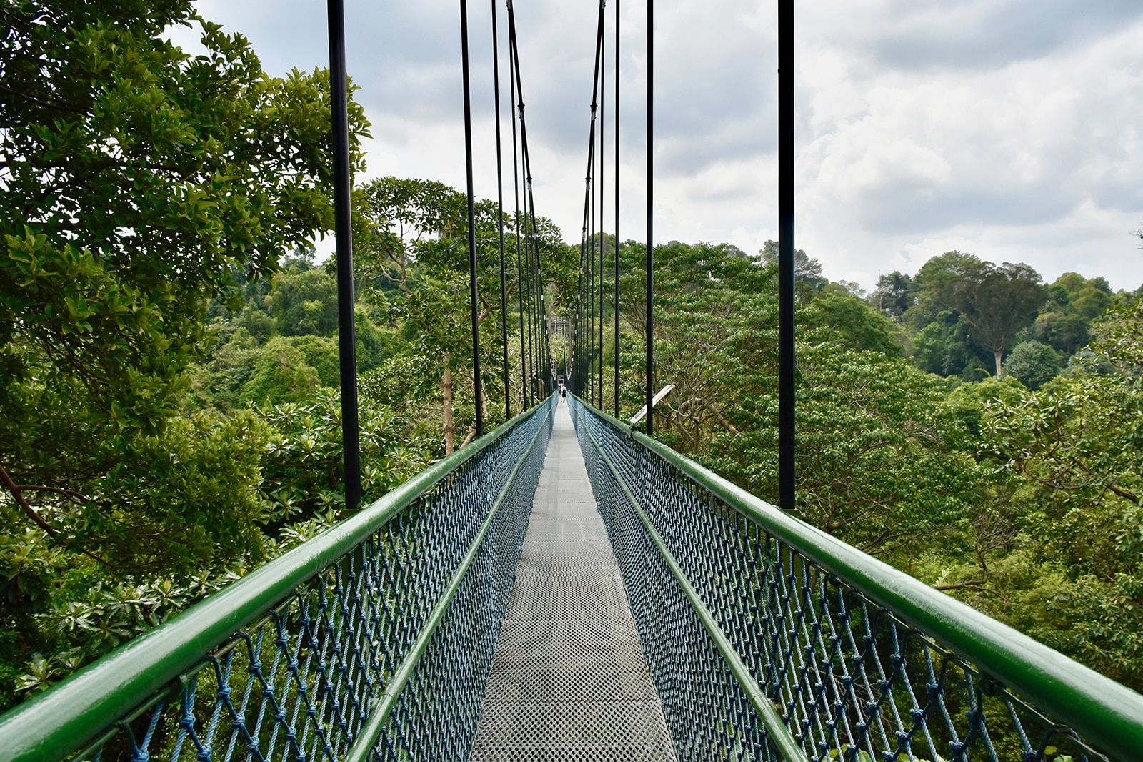 Central Catchment Nature Reserve in Singapore