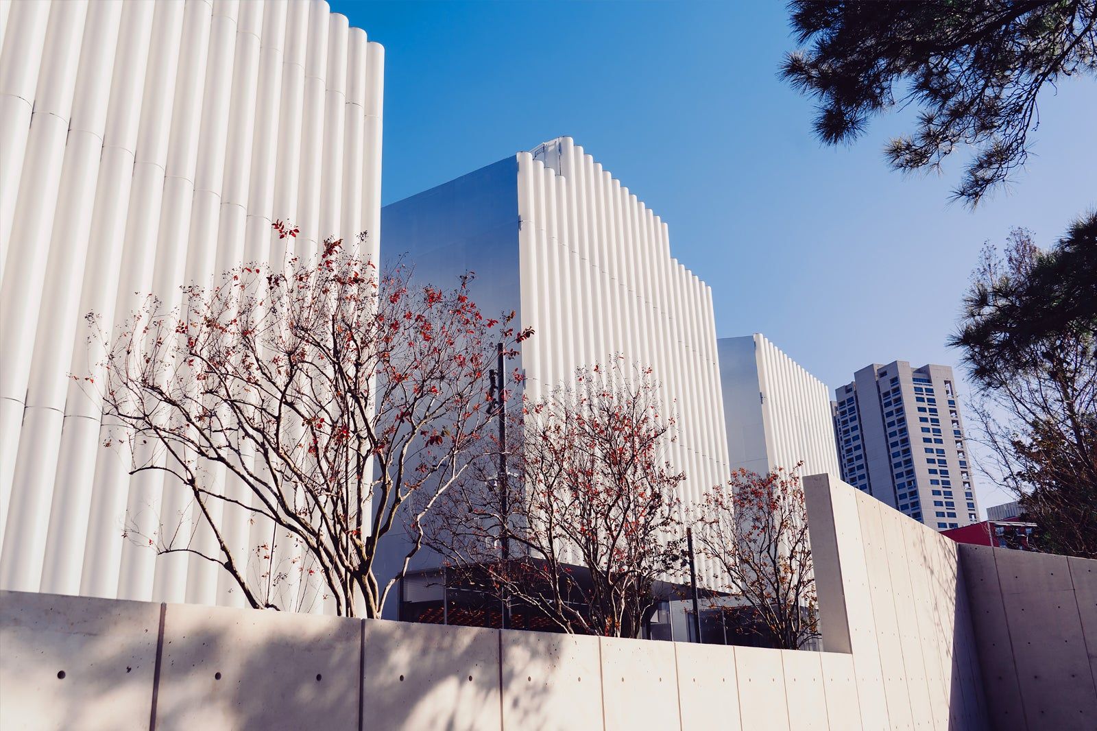 Museum of Fine Arts in Houston