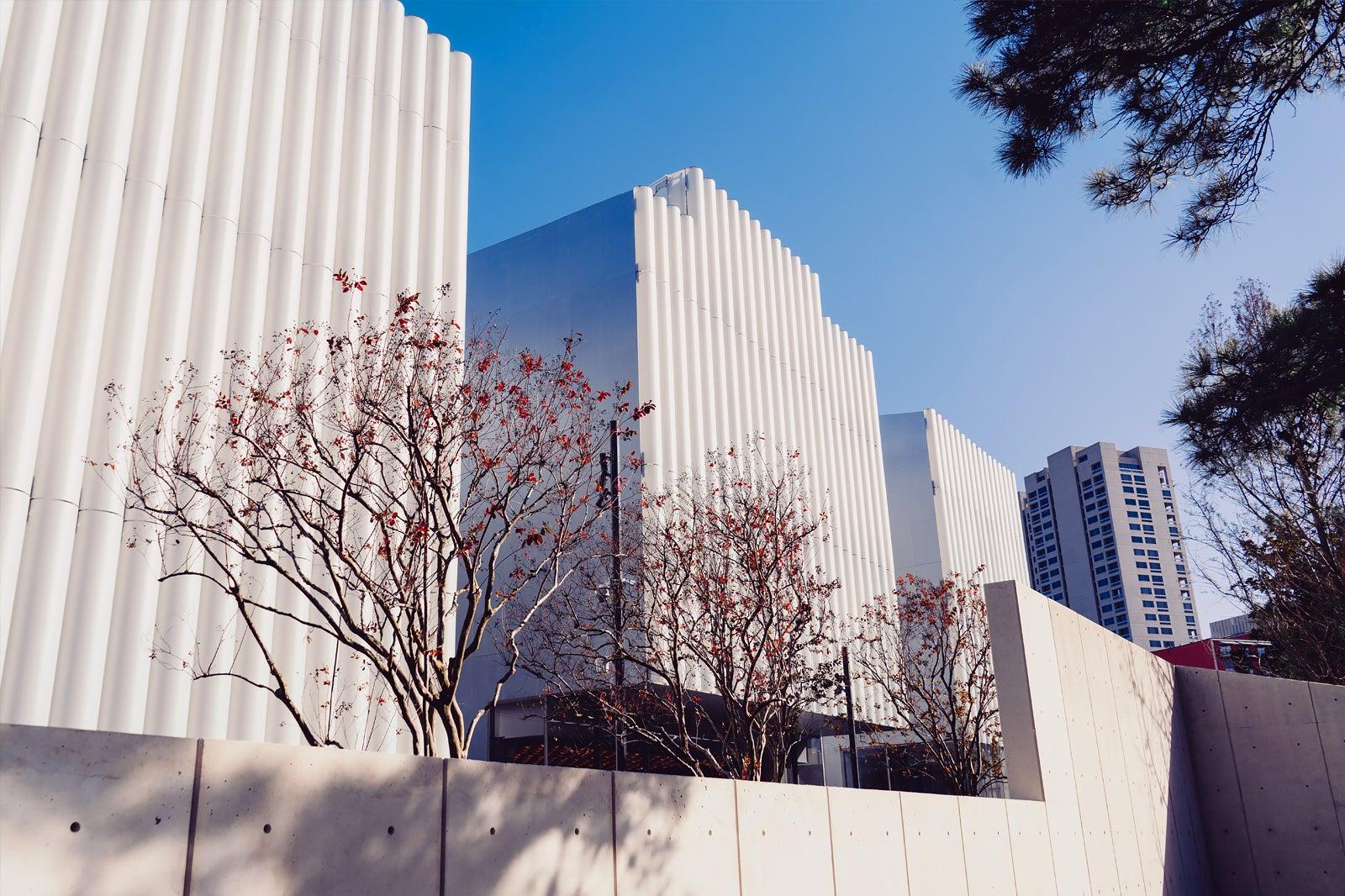 Museum of Fine Arts in Houston