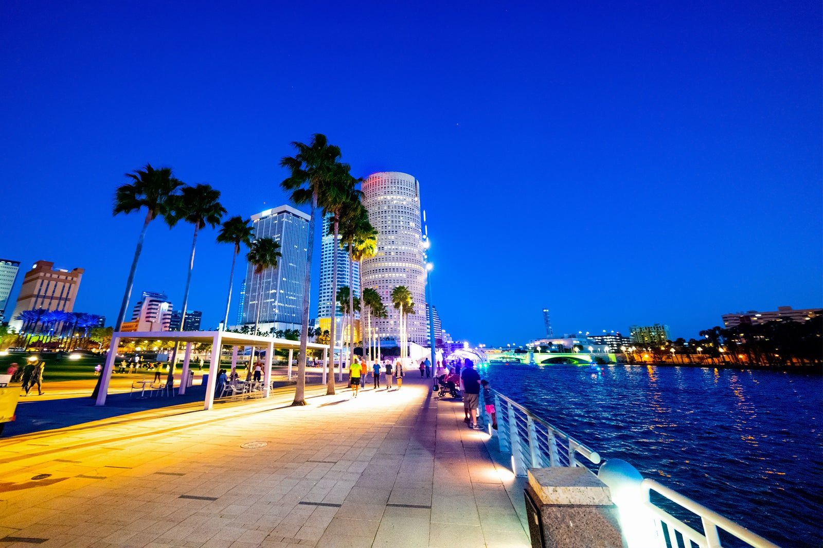 Best Nightlife in Tampa, USA