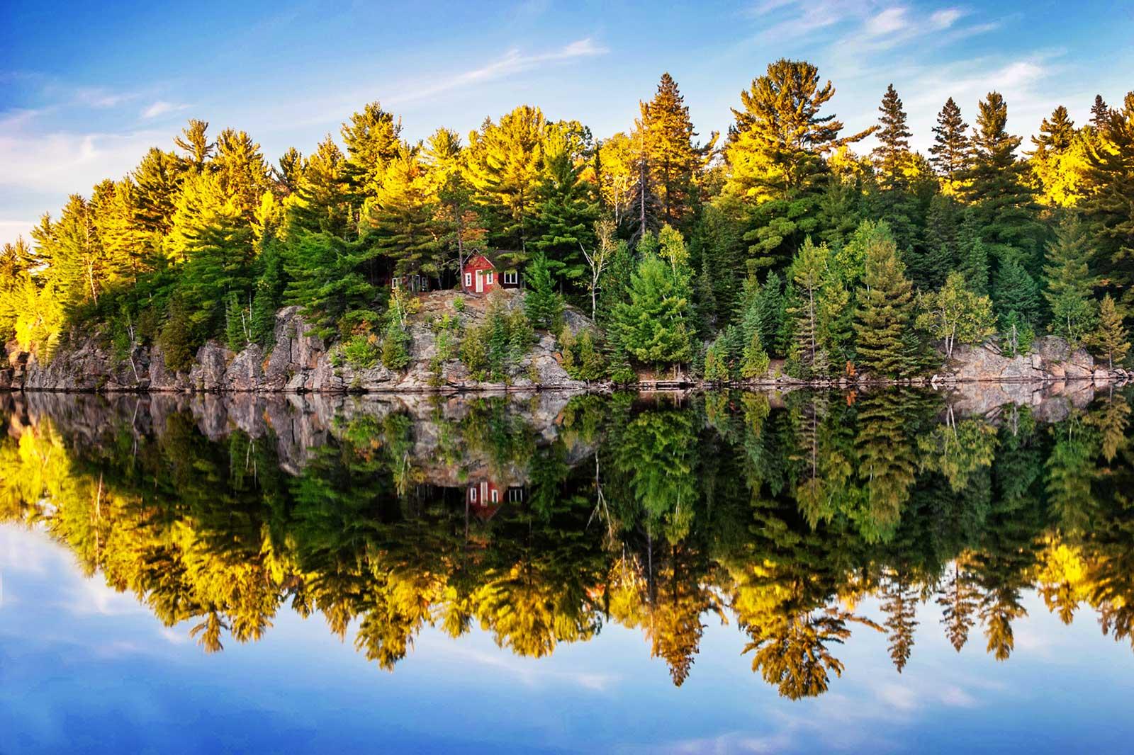 Trees reflected in water.