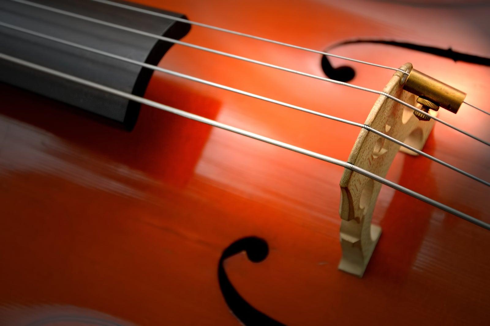 Cello Concert by Dr Beat Richner