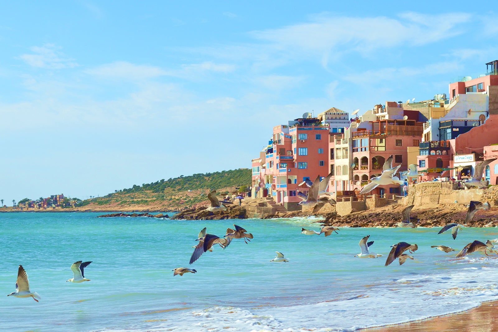 Birds flying over a beach in Agadir.