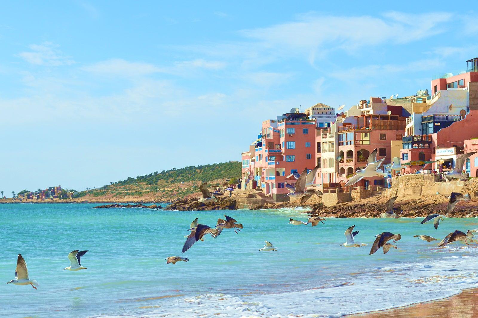 Birds flying over a beach in Agadir.
