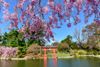 Visit Brooklyn Botanic Garden on Friday