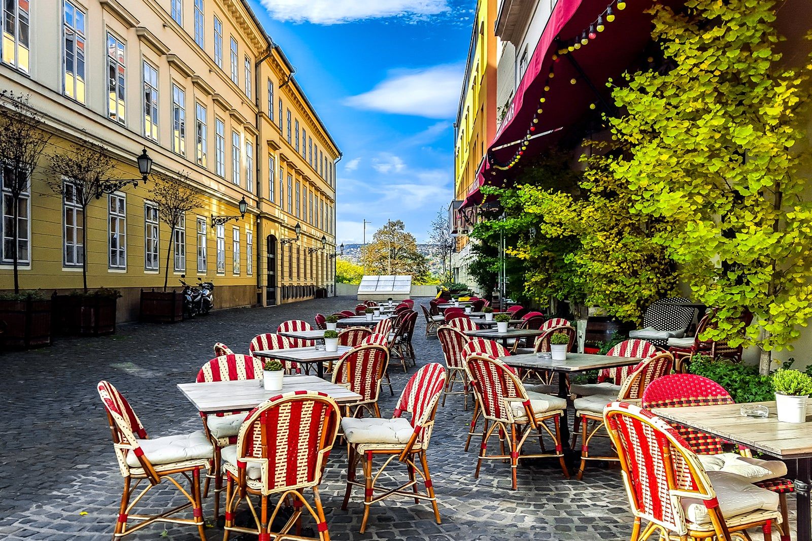 Best Local Restaurants in Budapest 