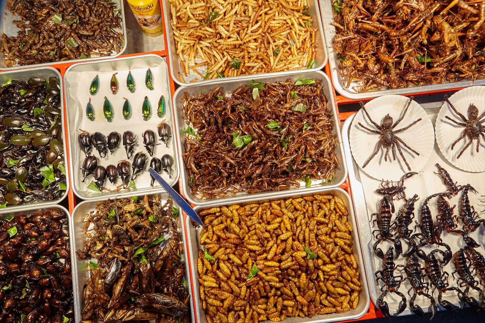 Eating Insects in Bangkok and Where to Find Them