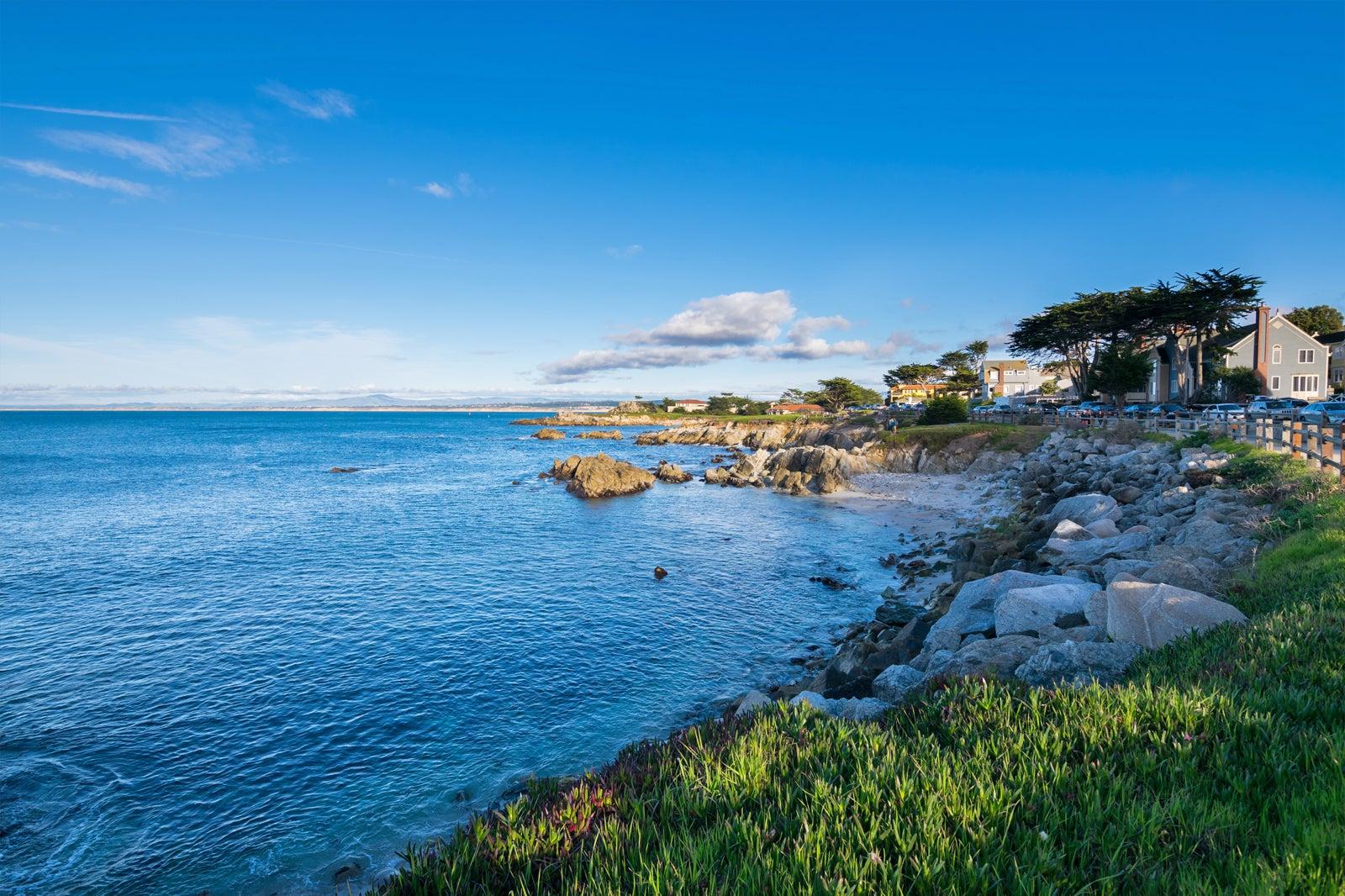 Best Things to Do with Kids in Monterey