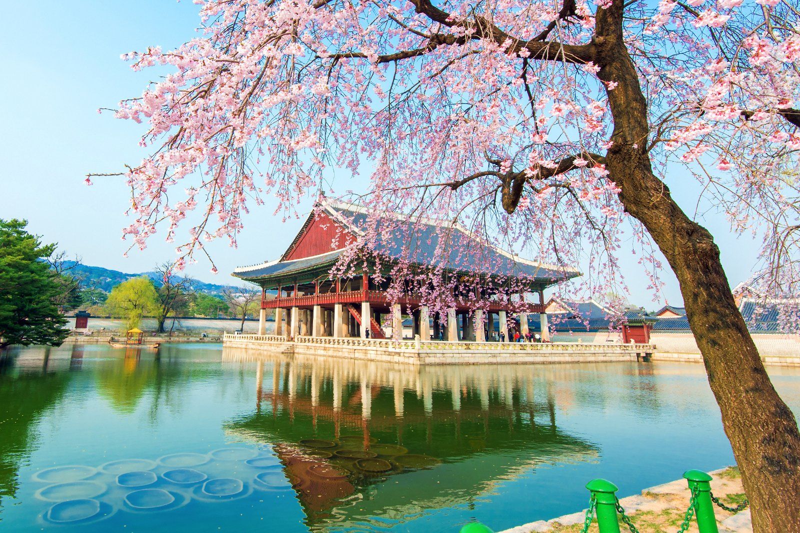 Things to Do in Seoul