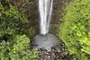 Manoa Falls in Oahu, Hawaii