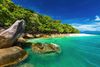 A beach next to a hill with green trees.