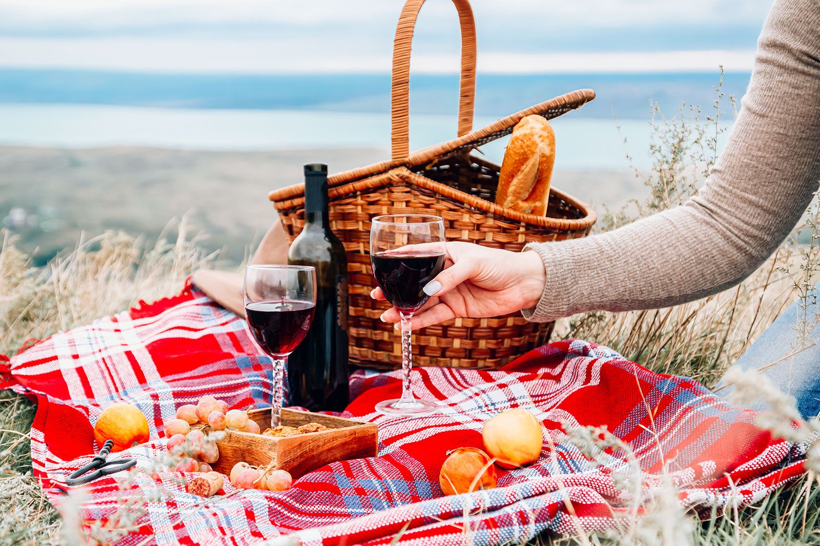 A bottle of red wine, two wine glasses, checked plaid, grape, apple and cookies.