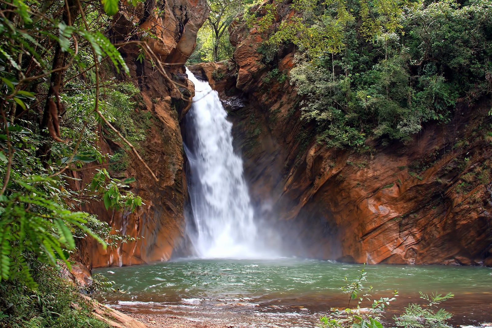 Trilha do Ribeirão de Itu perto de Maresias