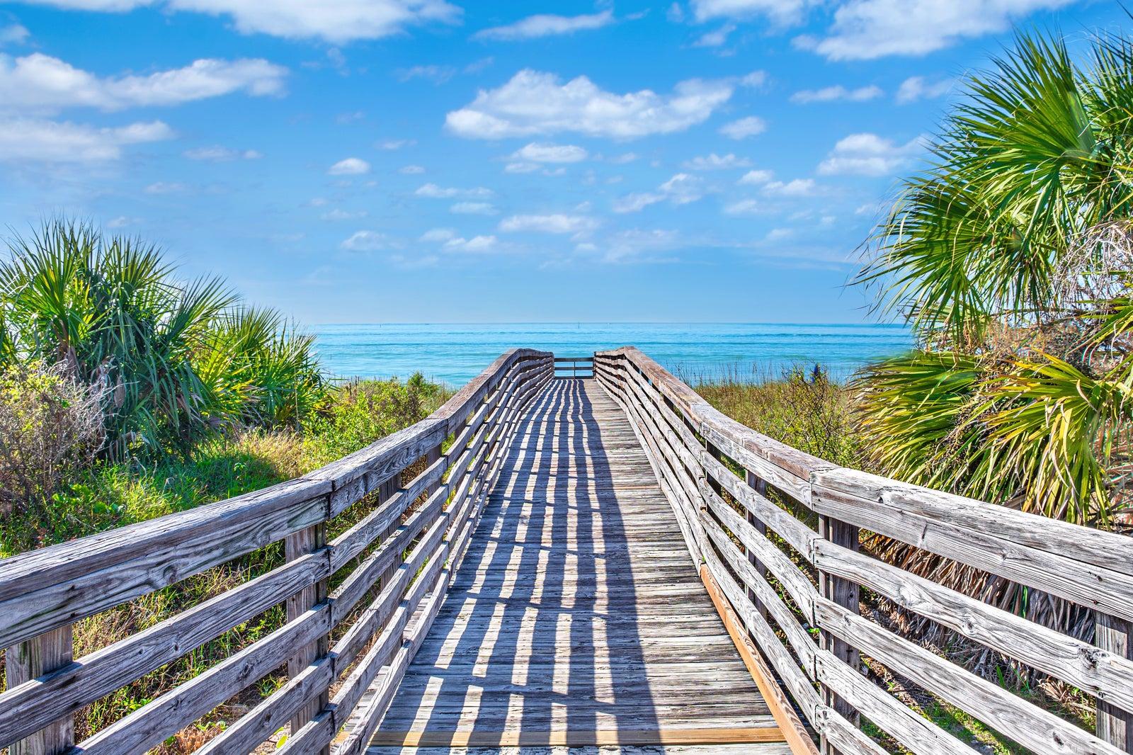 Best Things to Do for Couples in Tampa