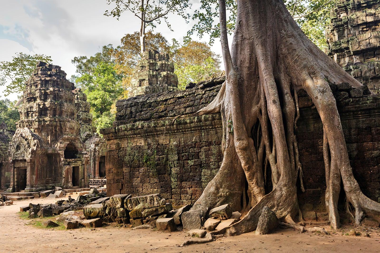 Ta Prohm Temple in Siem Reap