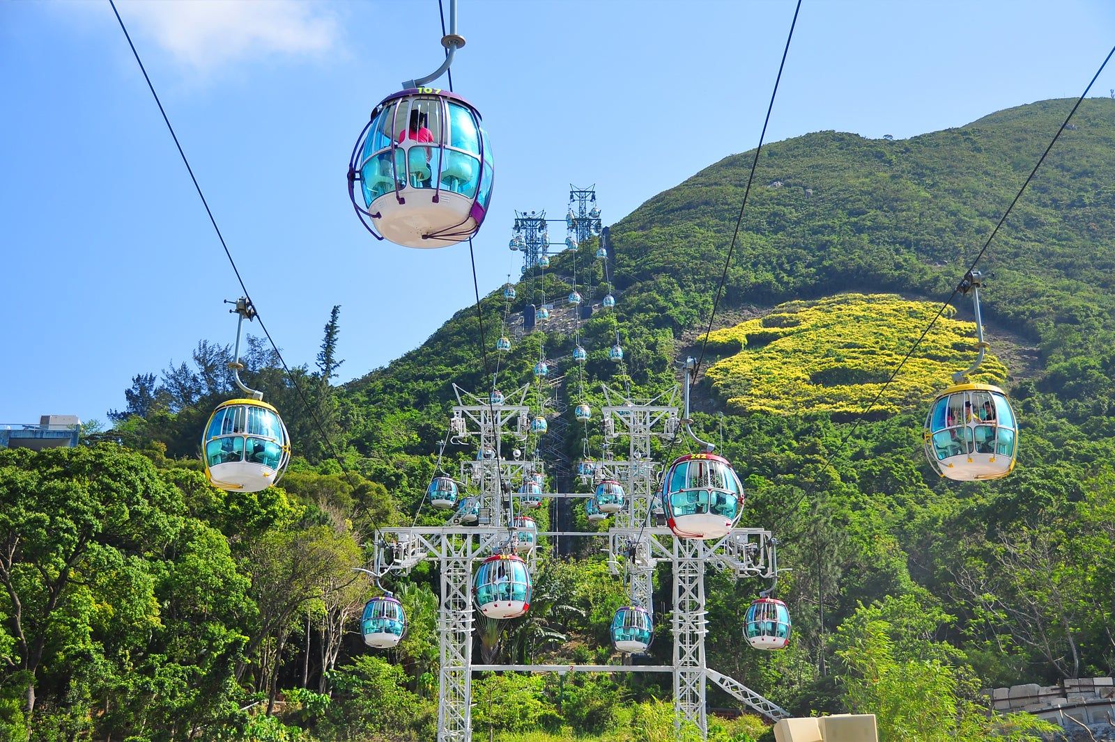 Things to Do with Your Family in Hong Kong