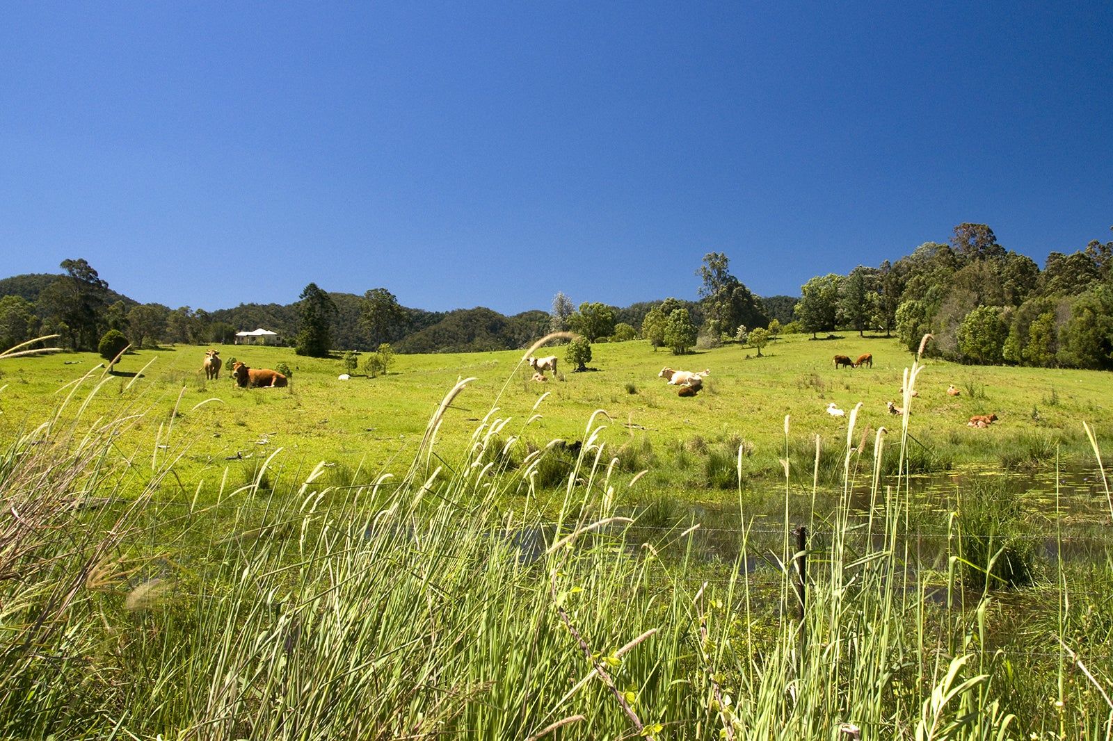 10 Best Things to Do in Montville