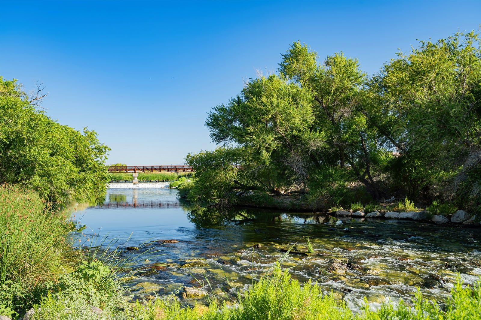 Clark County Wetlands Park in Las Vegas