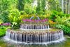 National Orchid Garden in Singapore