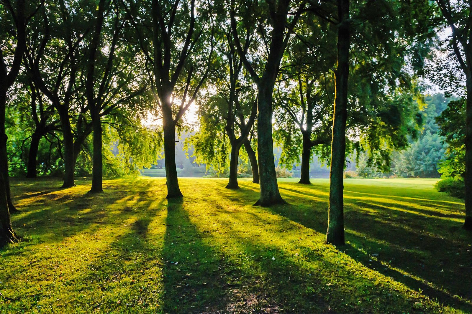 Rembrandtpark in Amsterdam