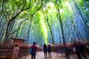 Best Places Locals Love to Go in Kyoto