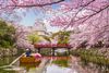 Himeji Castle, Japan