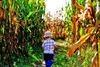 Calgary Corn Maze & Fun Farm