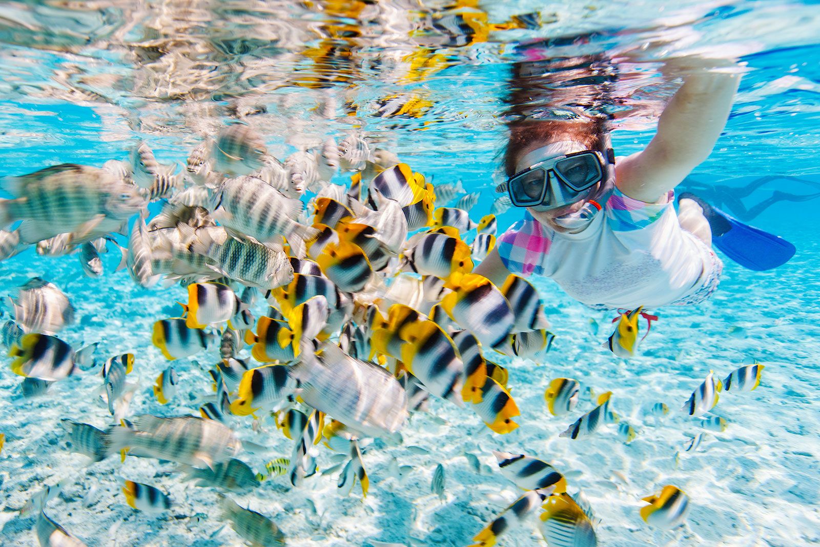 Woman snorkeling with tropical fish.