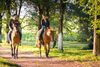 Enjoy a horse-riding tour in Albufeira