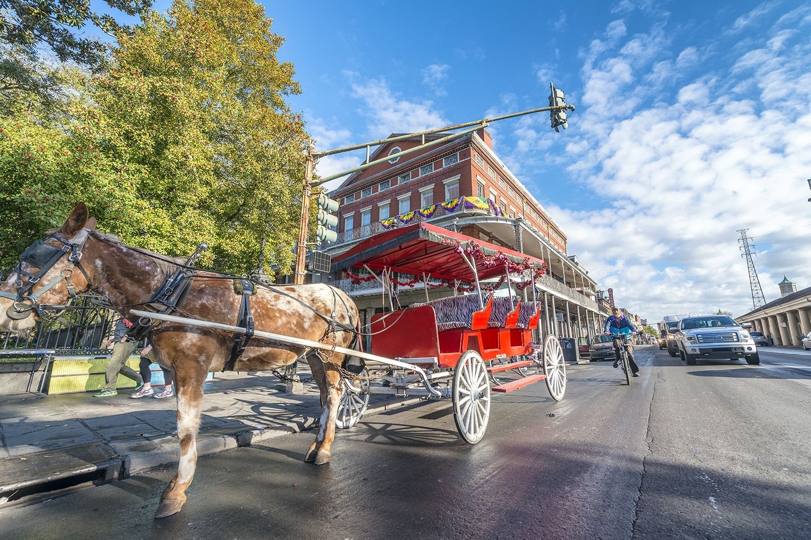 Things to Do in New Orleans