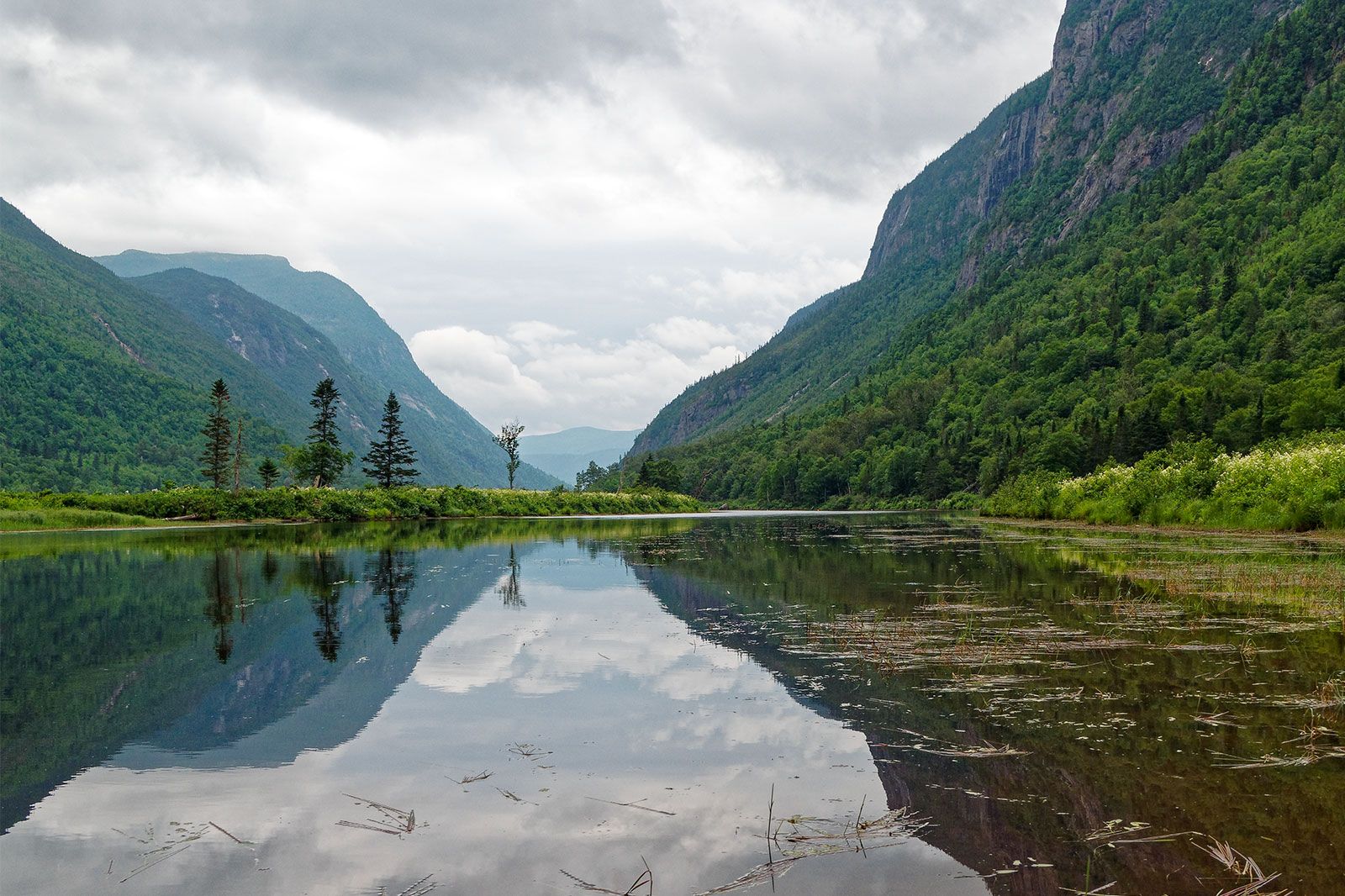 A lake and green mountains and trees in the distance.
