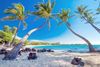 Best Things to Do in Big Island