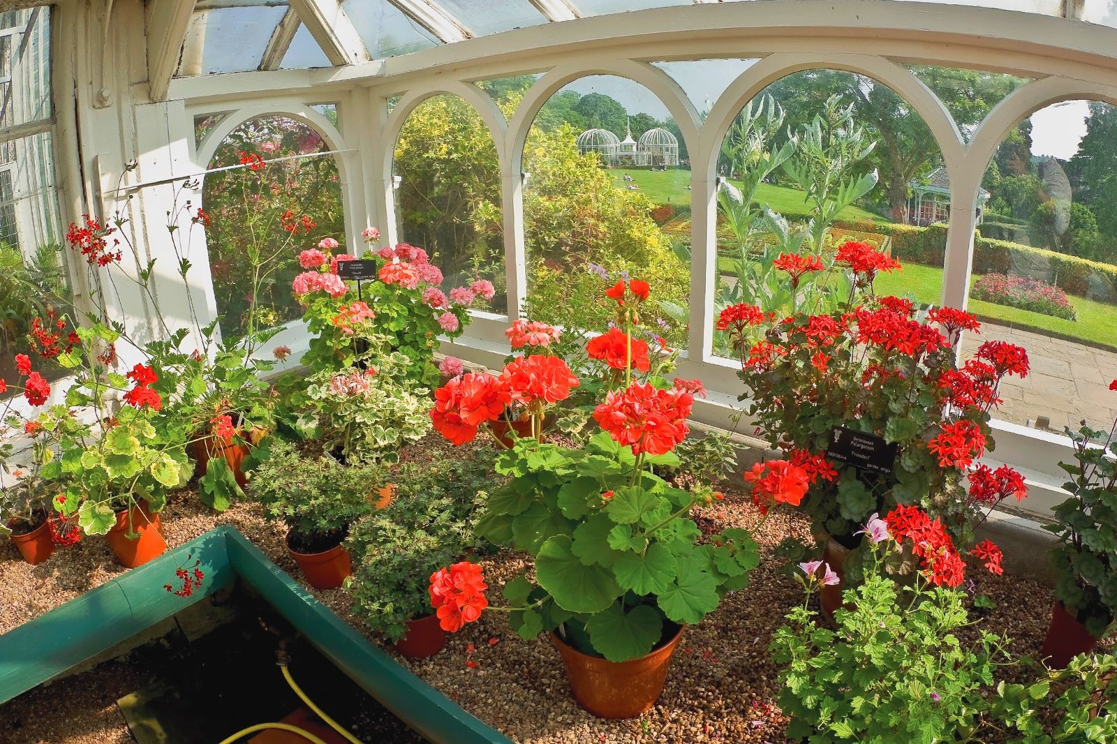 Birmingham Botanical Gardens in UK