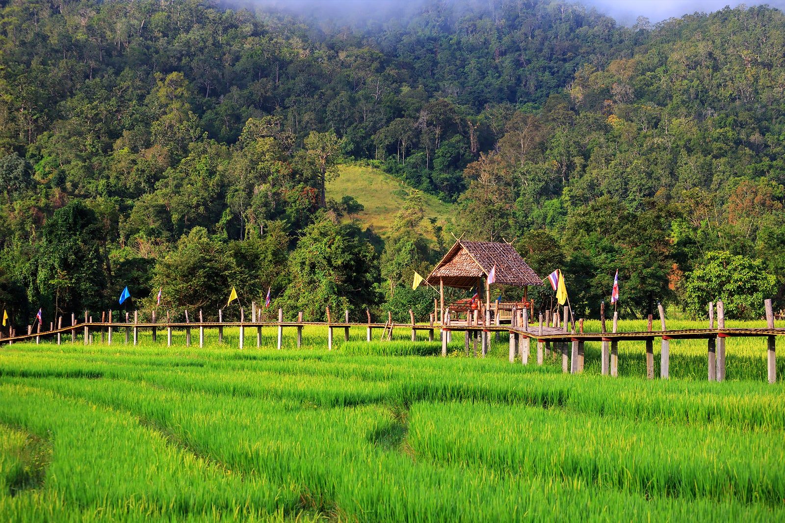 Pai, Thailand