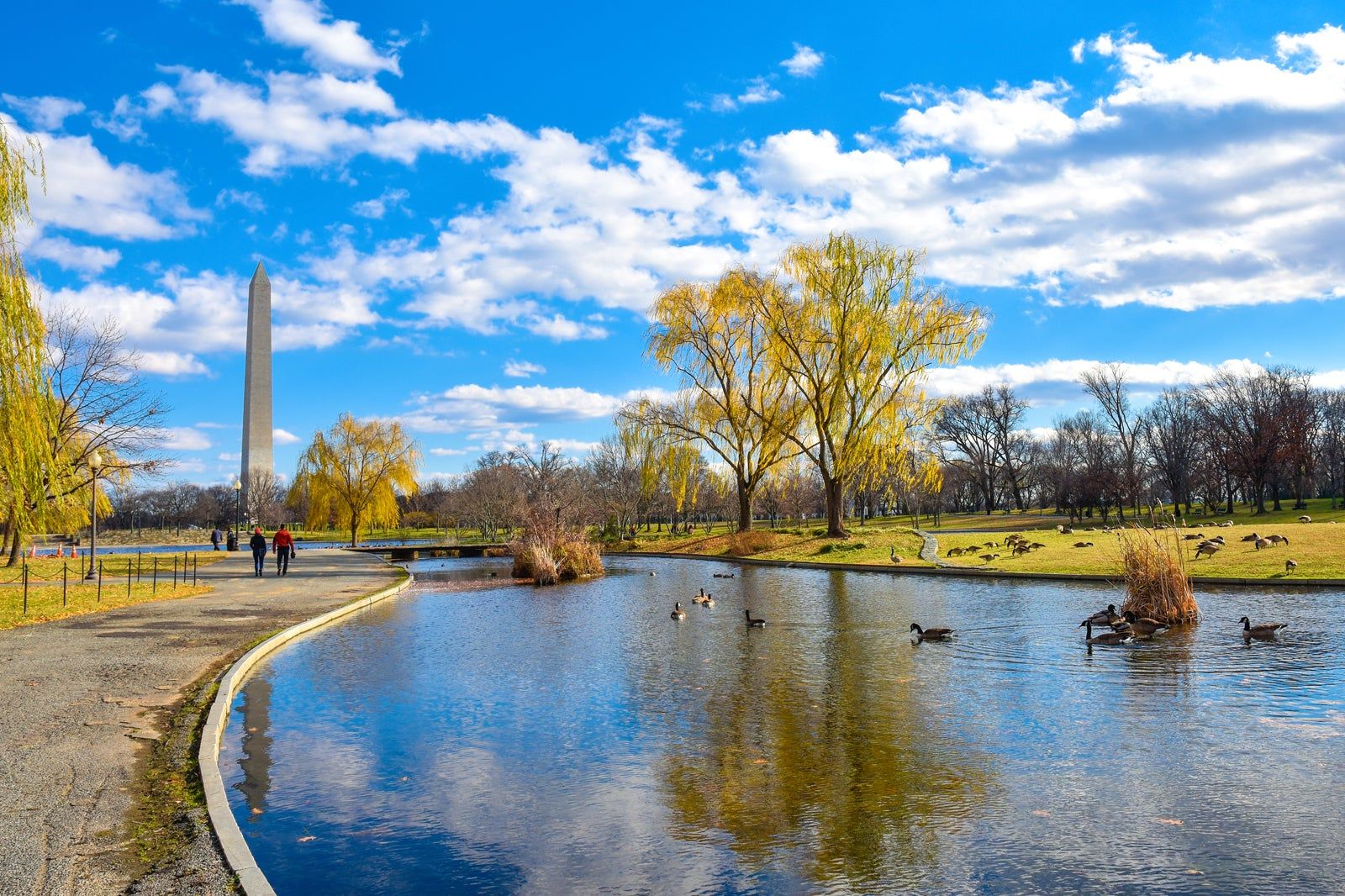 Best Parks in Washington DC