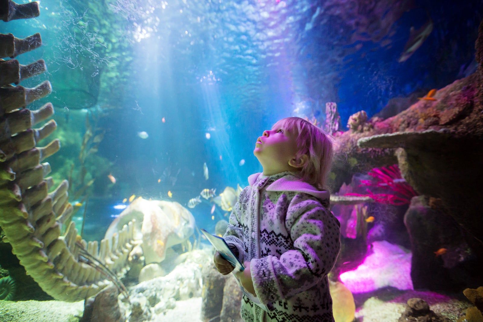 Sea Life Helsinki