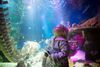 Sea Life Helsinki