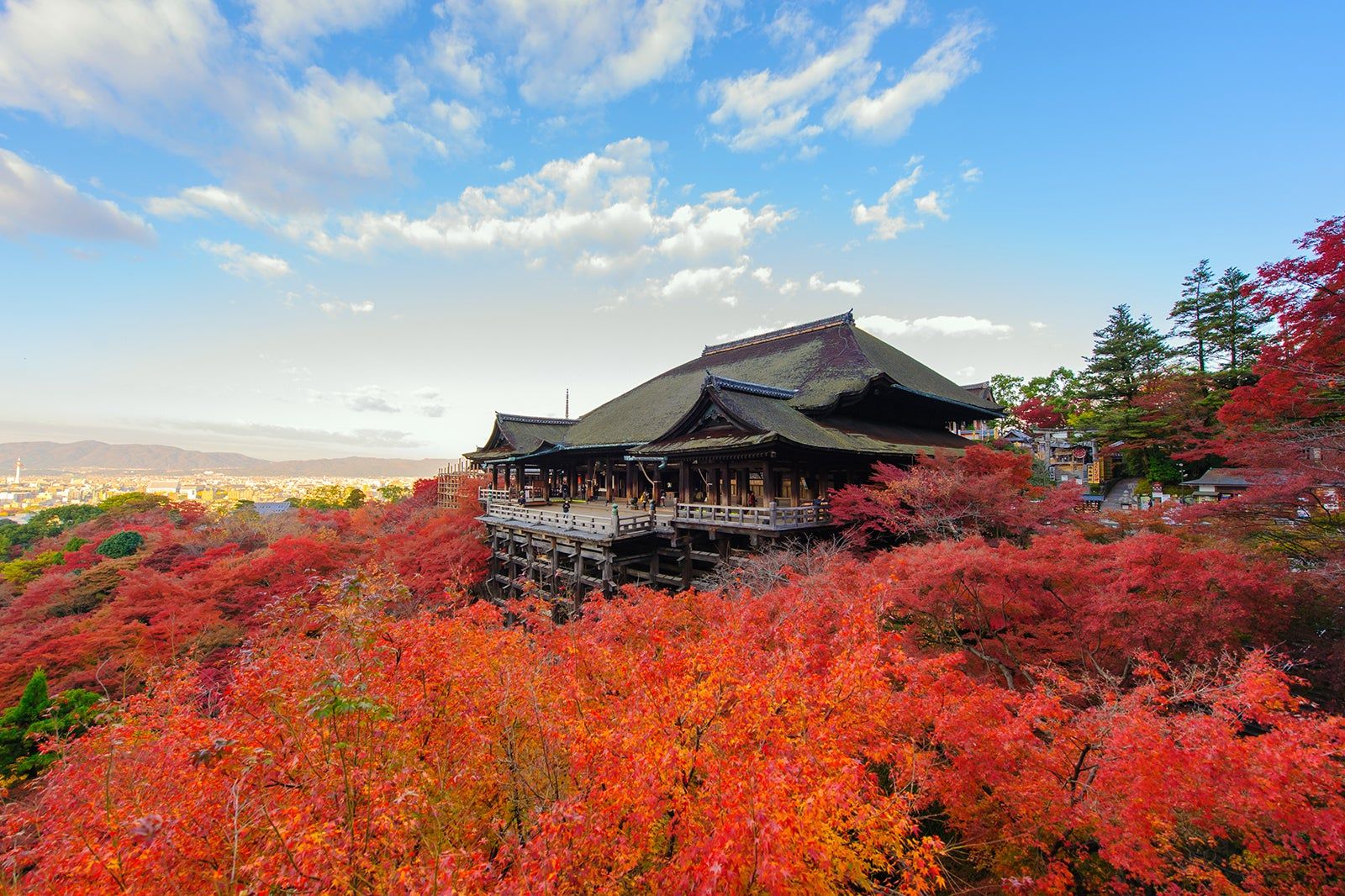 DeliciousTaylormade 清水の舞台 京都の清水寺 - 清水の舞台から美しい京都の街を一望 - Go Guides