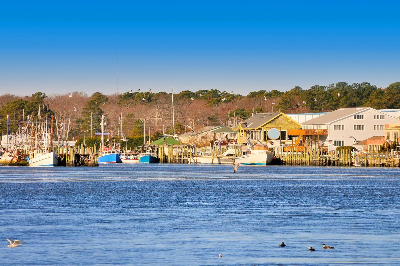 Places to Learn Something New in Ocean City